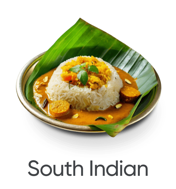 south indian